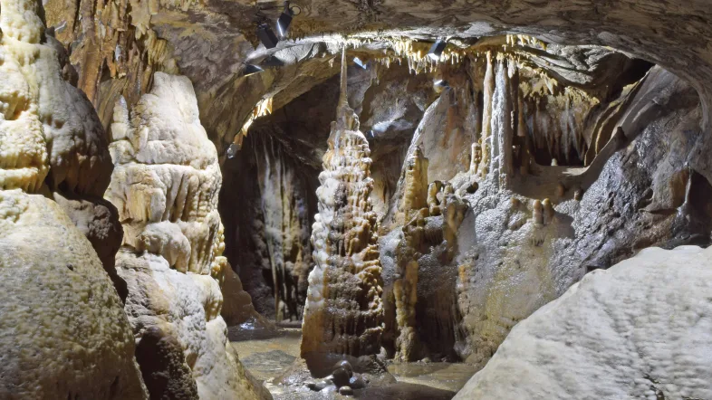 Tropfsteinformation ‚Baumkuchen‘ in der Dechenhöhle Iserlohn, eindrucksvoll beleuchtet