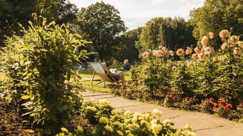 Bunte Blumenwiese mit verschiedenen Blüten im Grugapark Essen.