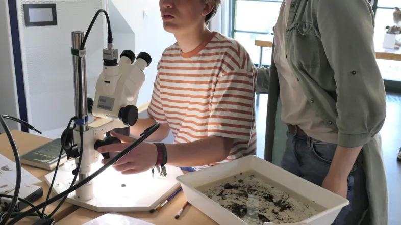 Laborraum im Haus Ruhrnatur in Mülheim für Umwelt- und Naturerlebnisse.