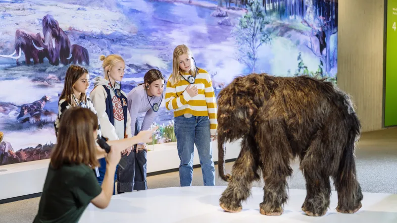 Mammut wird von einer Gruppe angeschaut im Neanderthalmuseum in Mettmann.